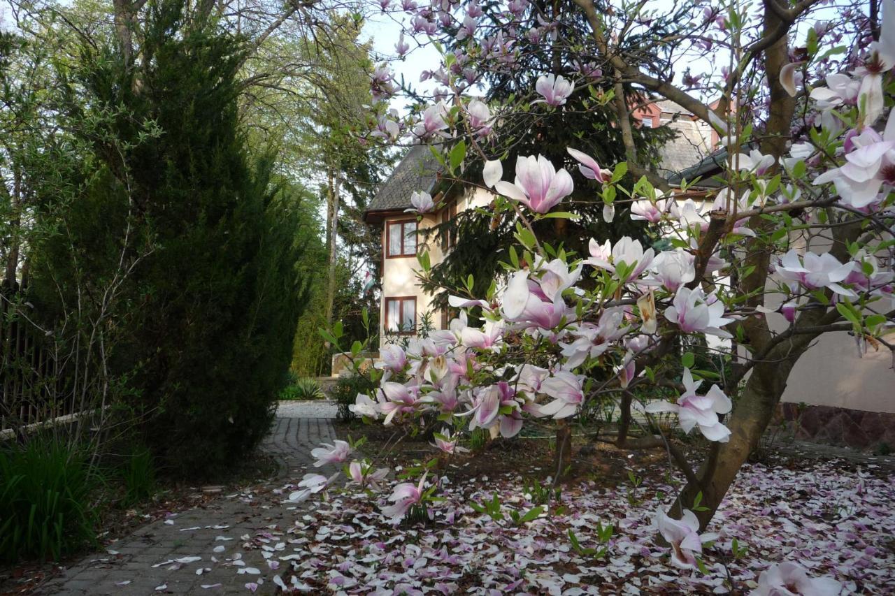 Balaton Art Guesthouse Балатонсемеш Экстерьер фото